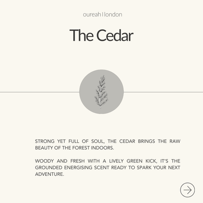 The Cedar